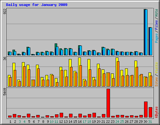 Daily usage for January 2009