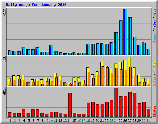 Daily usage for January 2010