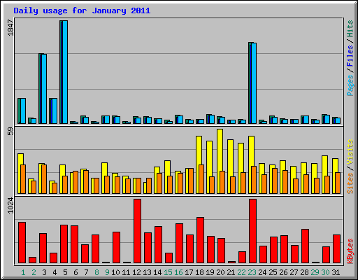 Daily usage for January 2011