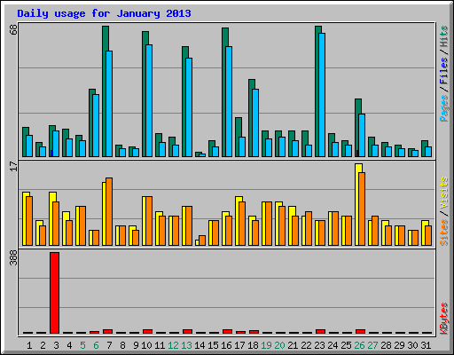 Daily usage for January 2013