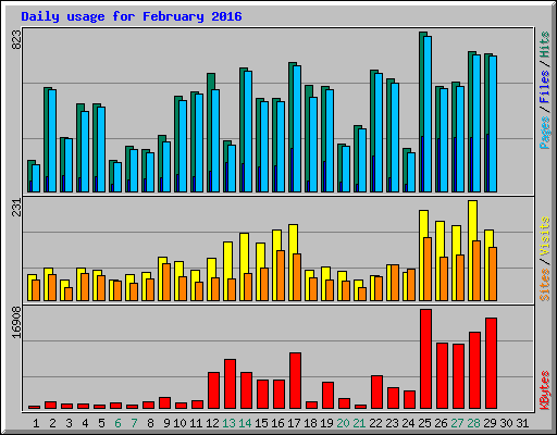 Daily usage for February 2016