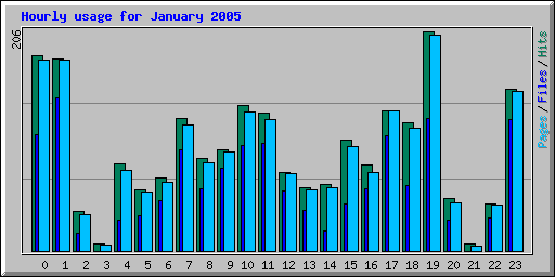 Hourly usage for January 2005