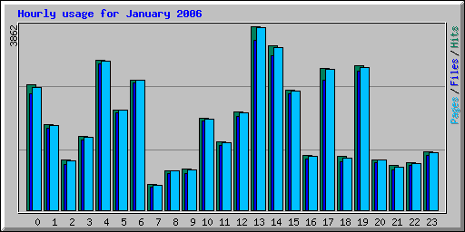 Hourly usage for January 2006