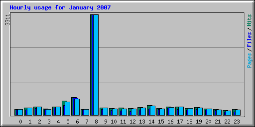 Hourly usage for January 2007