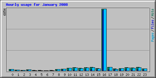 Hourly usage for January 2008