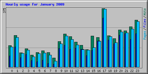 Hourly usage for January 2009