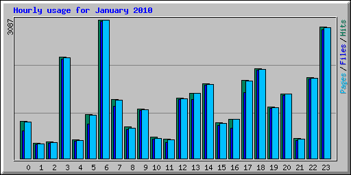 Hourly usage for January 2010