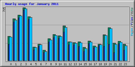 Hourly usage for January 2011