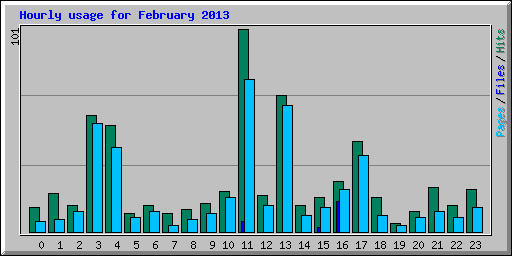 Hourly usage for February 2013