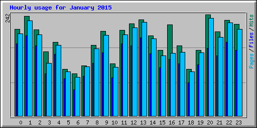 Hourly usage for January 2015