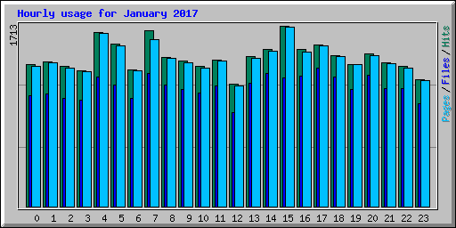 Hourly usage for January 2017