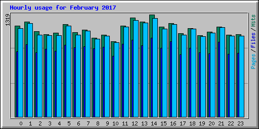 Hourly usage for February 2017