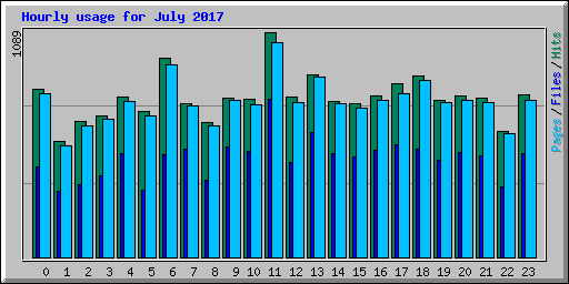 Hourly usage for July 2017